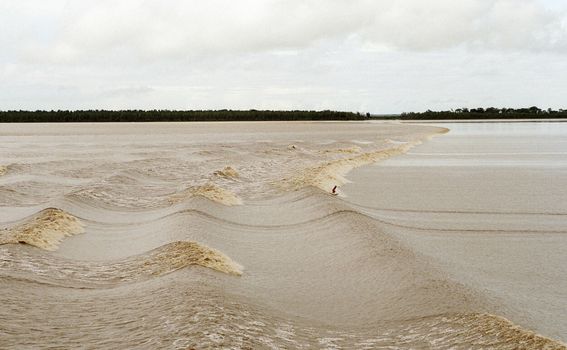 Plimni val pororoca u Brazilu na rijeci Amazoni - 3