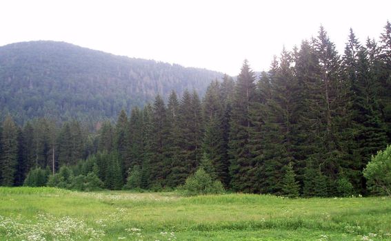 Kuća za odmor Sanjam Liku - 16