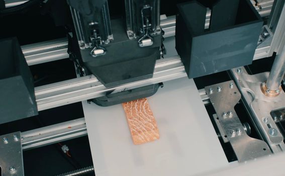 3D ispisana biljna zamjena za losos austrijske tvrtke Revo Foods - 3
