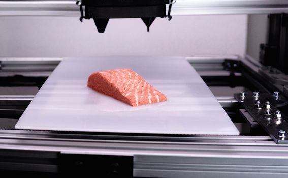 3D ispisana biljna zamjena za losos austrijske tvrtke Revo Foods - 4