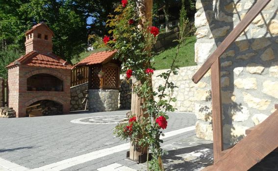 Vila Trnoružica Tuhelj - 15