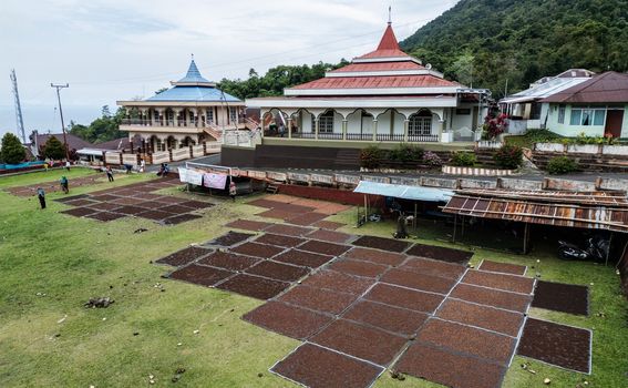 Branje i sušenje klinčića na otoku Tidore u Indoneziji - 7