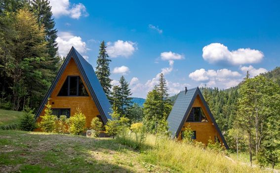 Gorska bajka - planinske kuće Borovica i Tisa - 10