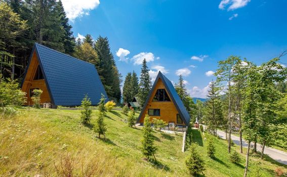 Gorska bajka - planinske kuće Borovica i Tisa - 13