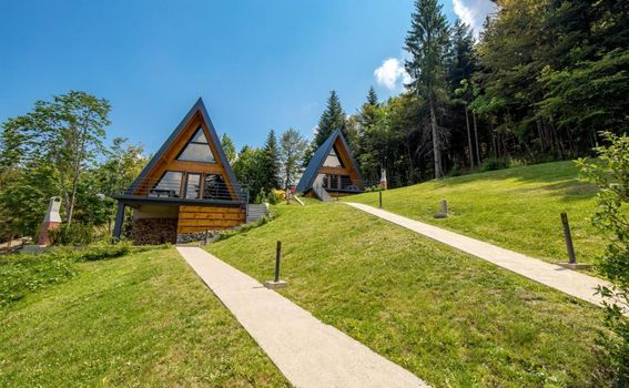 Gorska bajka - planinske kuće Borovica i Tisa - 14