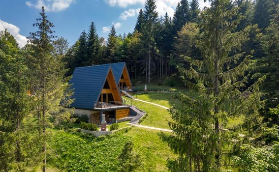 Gorska bajka - planinske kuće Borovica i Tisa - 15