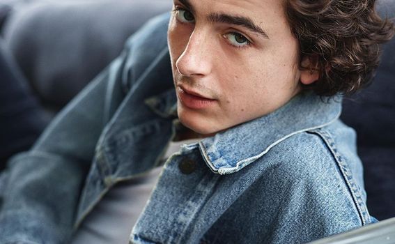 Timothee Chalamet - 3