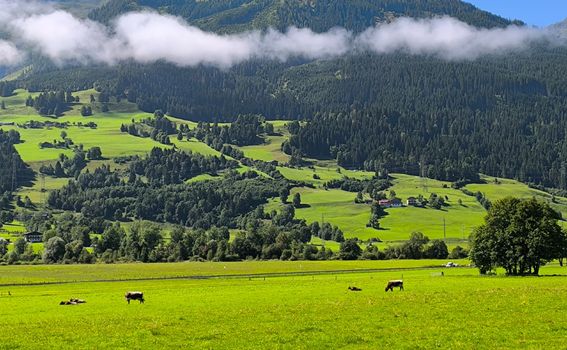 Zell am See - 4