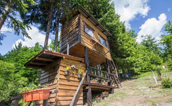 Tree House Gorski Lazi - 21