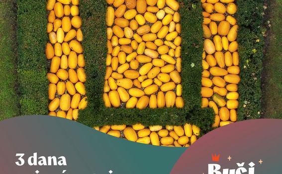 Bučijada u Ivanić-Gradu - 5