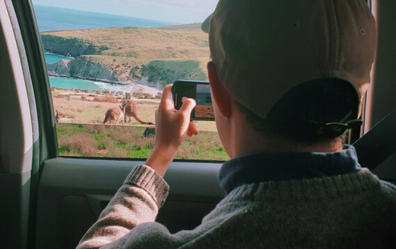 Safari