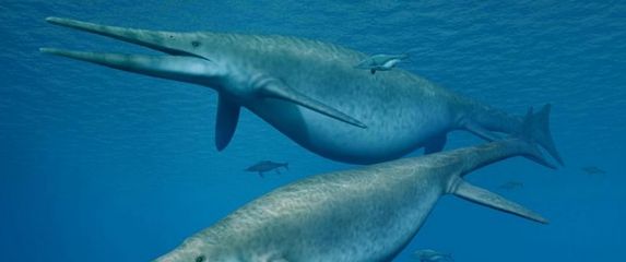 Ihtiosaur (Ilustracija: Nobumichi Tamura)