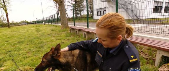 Iz skloništa za životinje u Policijsku akademiju (Foto: Dnevnik.hr) - 3