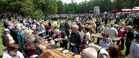 Proslava 1. maja u Maksimiru (Foto: Pixell)