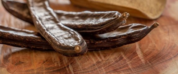 OPG Nebojša Božanić - 6