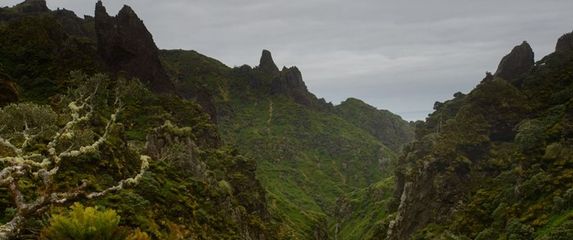 Istraživanje na otoku Gough - 4