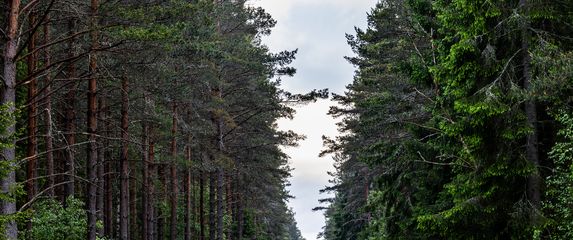 Växjö - 1