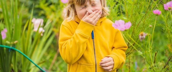 Alergija, ilustracija