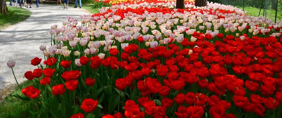 Volčji Potok u Sloveniji