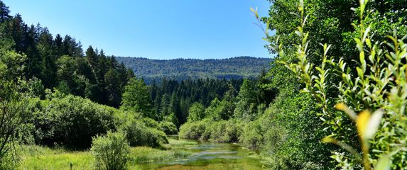 Planinarska staza Izvor voda - 3