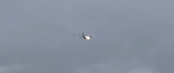 Zrakoplov je prisilno sletio nakon što je zec upao u motor