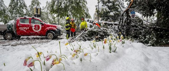 Obilan snijeg u Švicarskoj