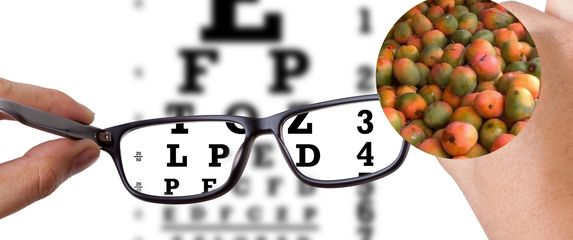 Provjera vida i optička iluzija papige skrivene među mangom