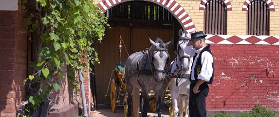 Coolturist Županja - 2