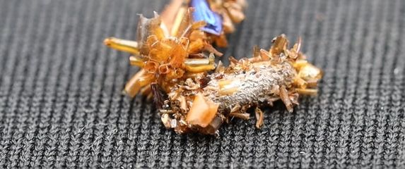 Gusjenica sakupljač kostiju