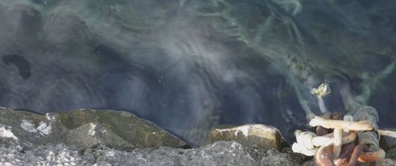 Sanacija onečišćenja - 2