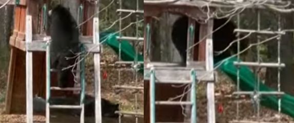 Medvjed na dječjem igralištu kako gleda niz tobogana
