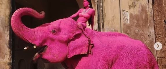 Ružičasti slon