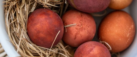 Smeđa jaja mogu biti baš efektna