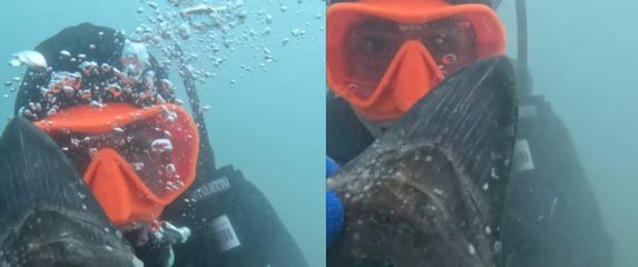 Pronalazak fosila zuba na dnu mora