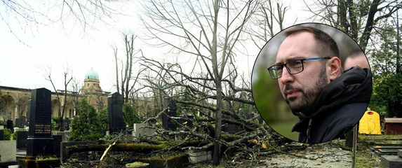 Šteta na Mirogoju i Tomislav Tomašević, ilustracija