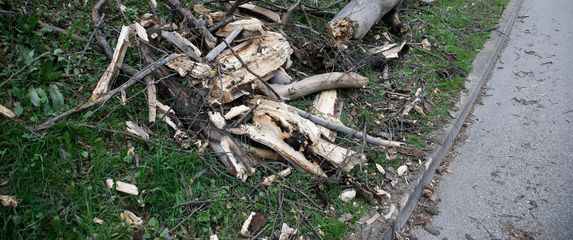 Šteta nakon oluje u Zagrebu