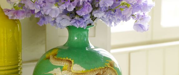 Delikatni cvijet mirisna grahorica izgleda očaravajuće - 9