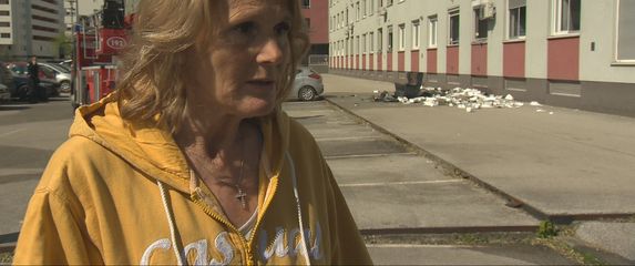 Snježana, Zagreb