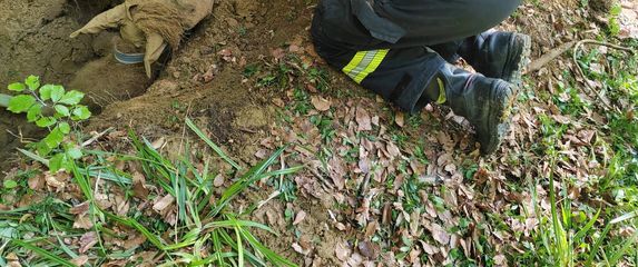 Izvlačenje kobile iz jame