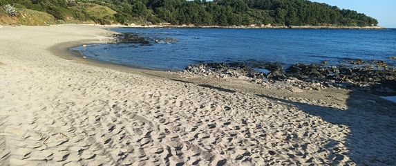 Plaža Pržina