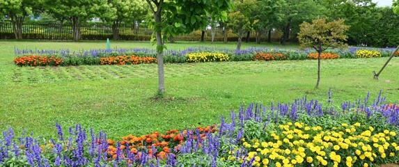Cvijetna gredica u dvorištu