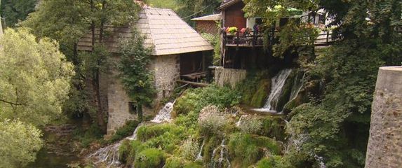 Priroda uz staru cestu (Foto: Dnevnik.hr) - 2