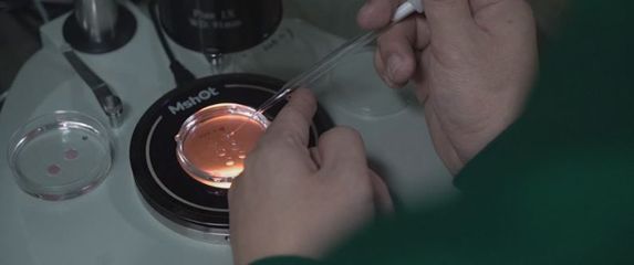 Petrijeva zdjelica u laboratoriju (Foto: Dnevnik.hr)
