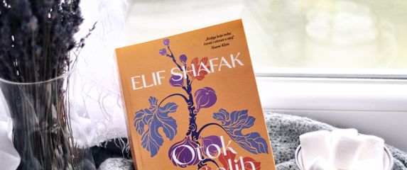 Elif Shafak: Otok nestalih stabala