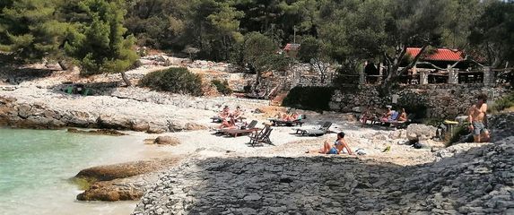 Mekićevica - 3
