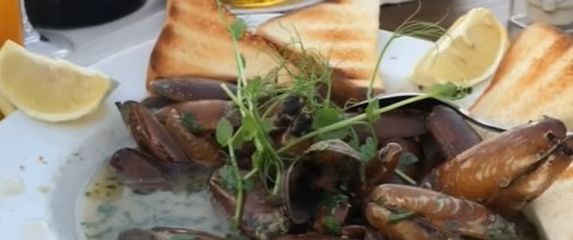 Dragomir Despić Designerica