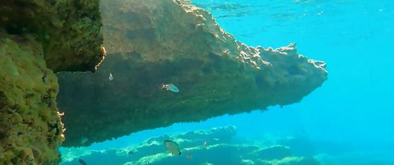 Temperature mora - 4