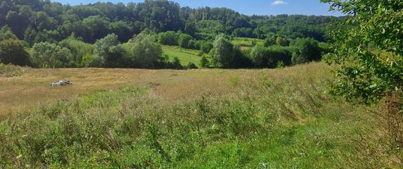 Turopoljska trail utrka Ključić brdo - 1