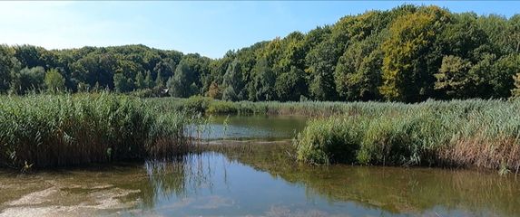 Sovsko jezero - 4