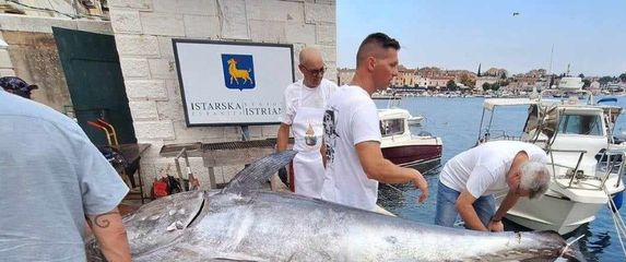 Tuna fest Rovinj - 1